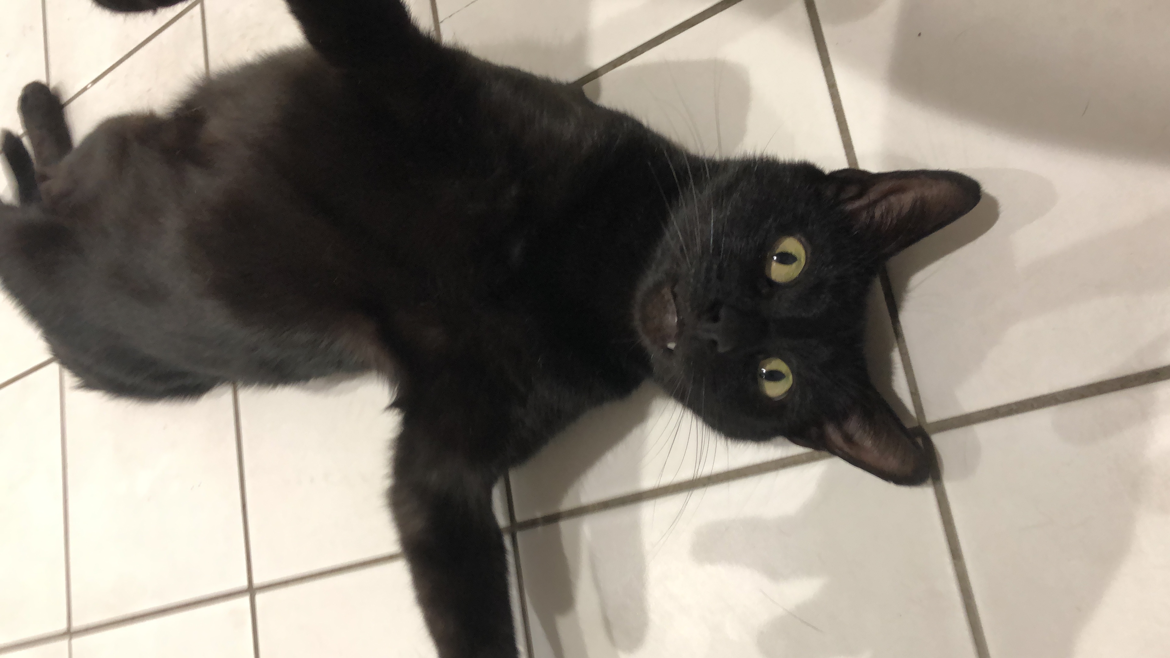 575B194D 6158-4969-94AF-3371741F3D94.jpeg