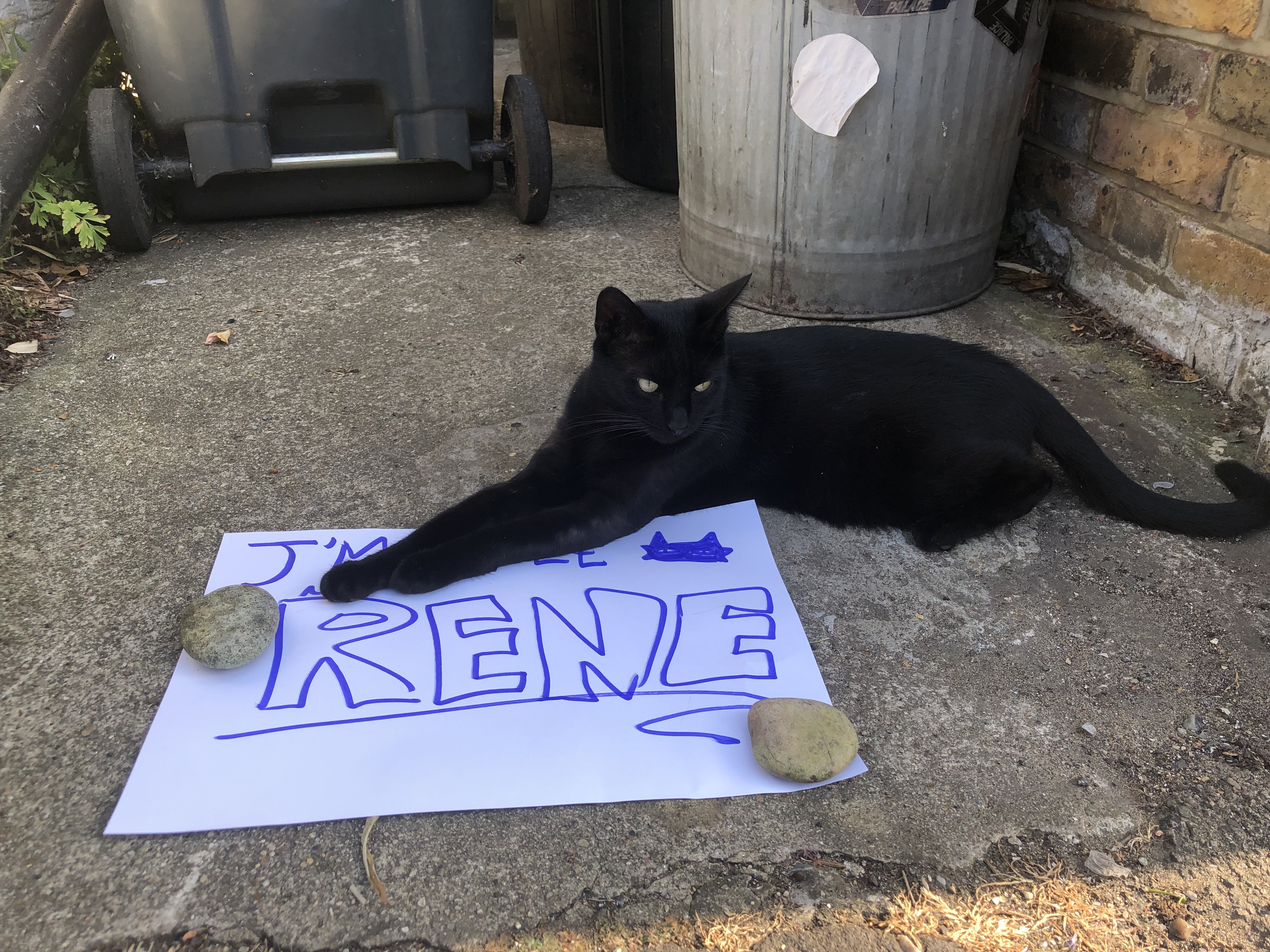 placeholder image-sq